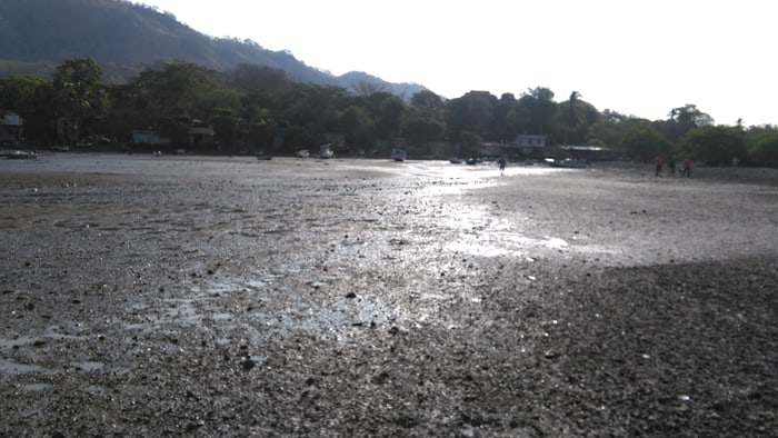 Another view of the shoreline with the tide fully out.