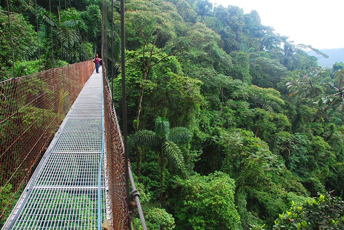 Hanging bridge at Mistico.