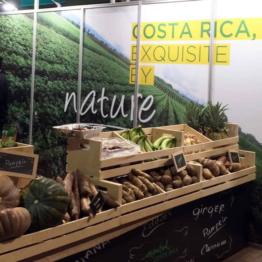 Costa Rica’s exports of goods up from last year The Tico Times Costa Rica News Travel