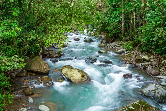 Cold mountain river on the slopes of El Valle de El General, Pérez Zeledón.