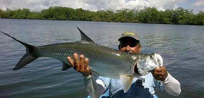 tarpon in the pacific