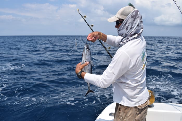 Jesús unhooks a perfect bait fish.