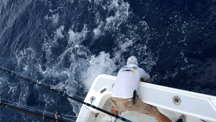 Jesús grabs the big fish by the bill and struggles to break off the hook.