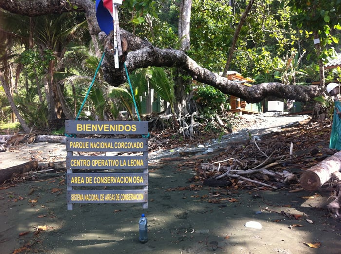 Welcome to Corcovado National Park.