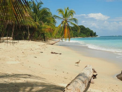 October in Costa Rica: when the Caribbean comes a’callin’