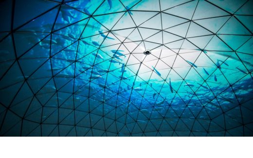 Ocean-gazing under the dome