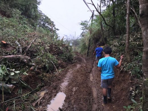 A reader’s glimpse of Monteverde recovery