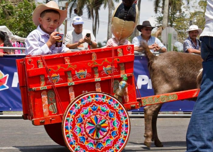 Oxcart Parade