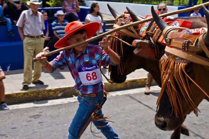 Oxcart Parade
