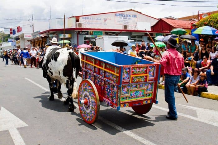 Oxcart Parade