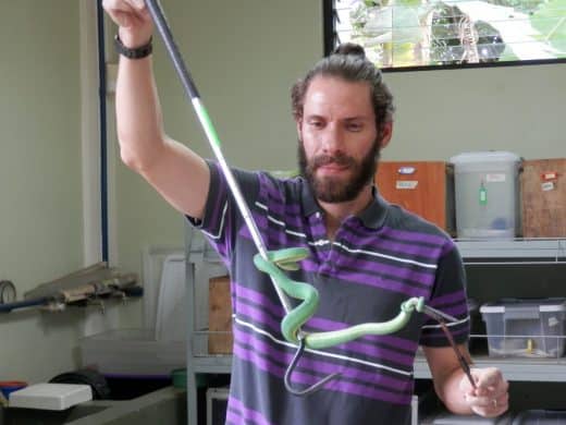 Costa Rica’s snakebite research pioneers save lives worldwide