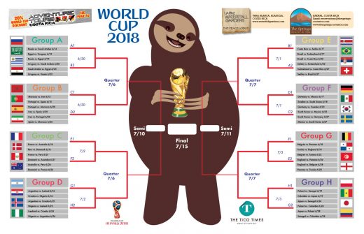 Download printable Sloth Kong World Cup brackets