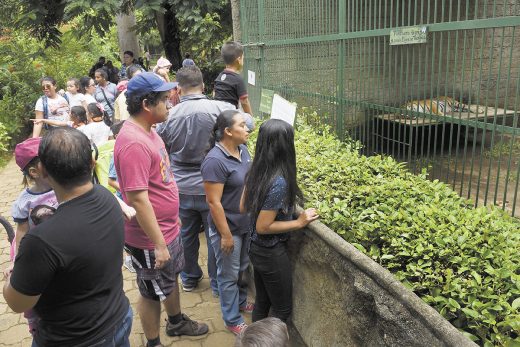 Nicaraguans visit zoo en masse after call for help