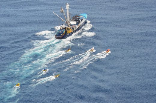 Three Billboards Outside San José, Costa Rica: Can fish bring a country together?