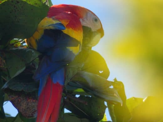 Reader photos: Beauty at Jacó Beach