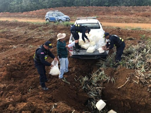 Costa Rican authorities seize half-ton of illegal … cheese