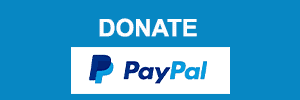 Paypal Donation Tico Times